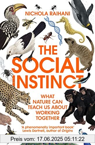 Binding : Taschenbuch, Label : Vintage, Publisher : Vintage, medium : Taschenbuch, numberOfPages : 304, publicationDate : 2022-10-06, releaseDate : 2022-10-06, authors : Nichola Raihani, ISBN : 1529112125