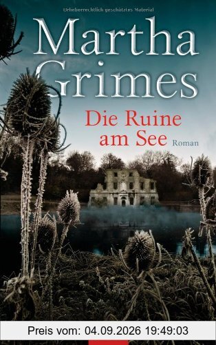 Die Ruine am See: Roman