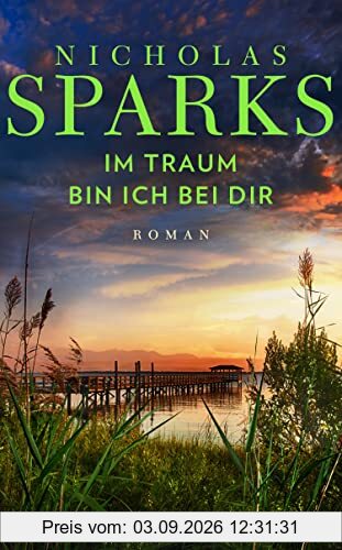 Im Traum bin ich bei dir: Roman