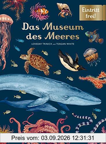 Das Museum des Meeres: Eintritt frei!