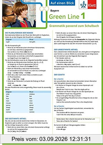 Klett Green Line 1 Bayern Klasse 5 - Auf einen Blick: Grammatik passend zum Schulbuch