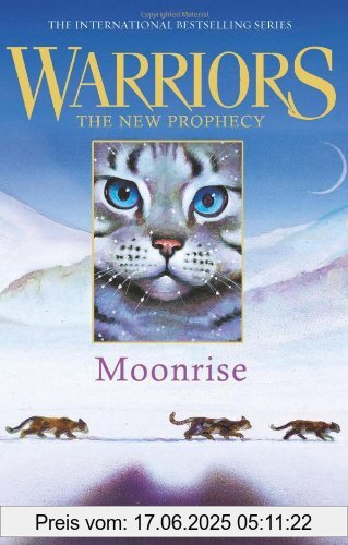 Binding : Taschenbuch, Label : Harpercollins Publishers, Publisher : Harpercollins Publishers, NumberOfItems : 1, PackageQuantity : 1, medium : Taschenbuch, numberOfPages : 304, publicationDate : 2011-06-09, authors : Erin Hunter, languages : english, ISBN : 0007419236