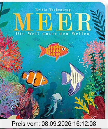 Meer: Die Welt unter den Wellen | Gereimtes Natur-Bilderbuch, mit Gucklöchern, hochwertig ausgestattet, für Kinder ab 3 Jahren