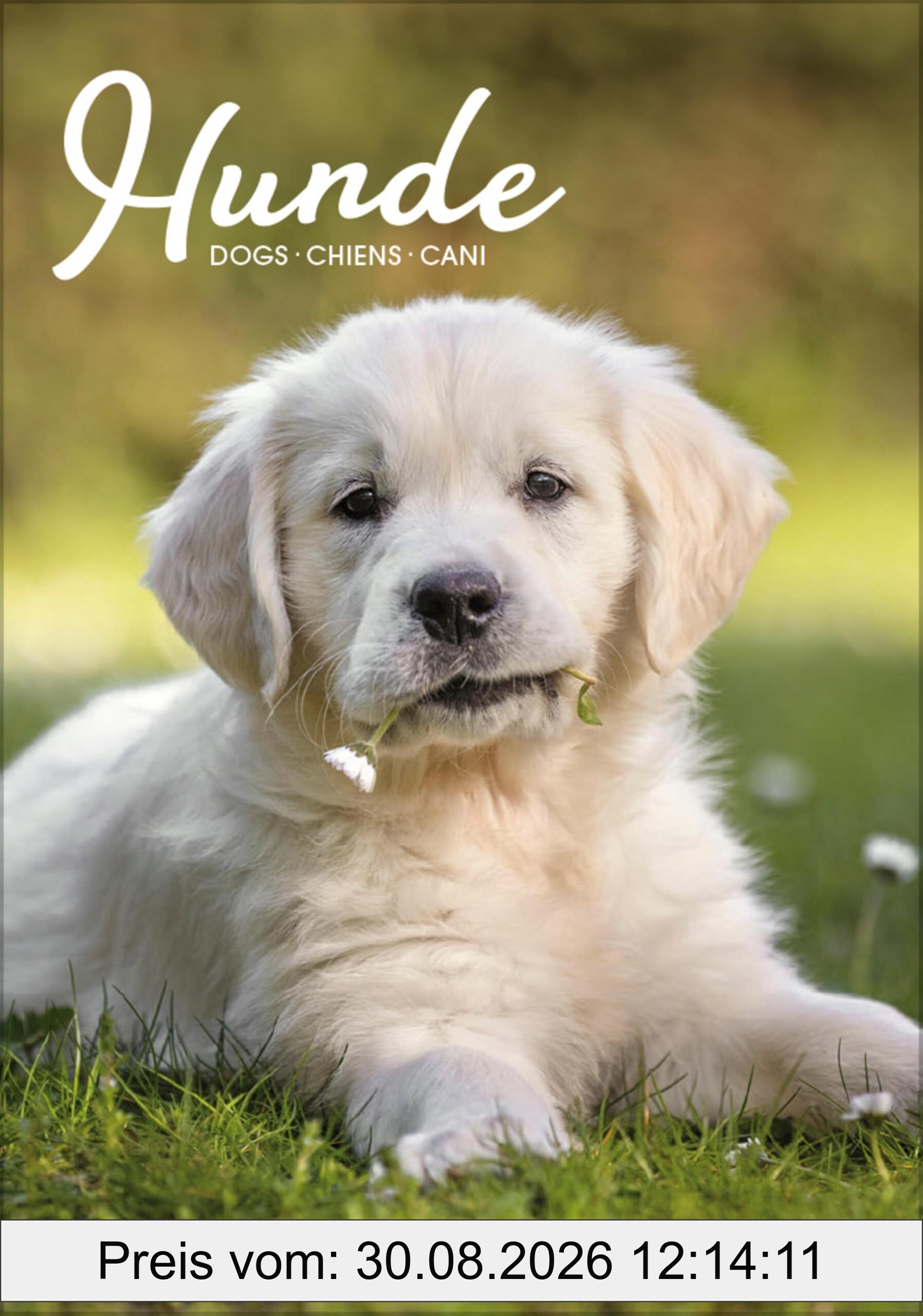 Hunde 2026