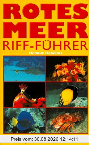 Riff-Führer Rotes Meer