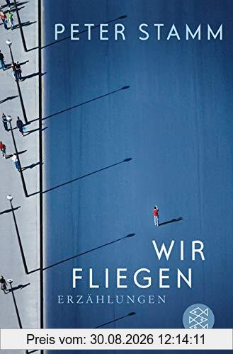 Wir fliegen: Erzählungen