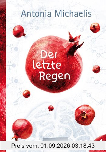 Der letzte Regen
