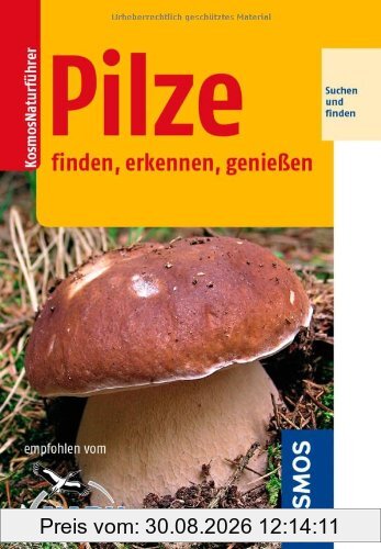 Pilze: finden, erkennen, genießen