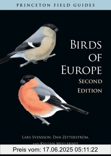 Binding : Taschenbuch, Edition : 0002, Label : Princeton Univ Pr, Publisher : Princeton Univ Pr, NumberOfItems : 1, PackageQuantity : 1, medium : Taschenbuch, numberOfPages : 448, publicationDate : 2010-02-21, authors : Lars Svensson, languages : english, ISBN : 0691143927