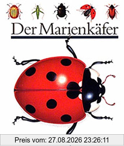 Der Marienkäfer