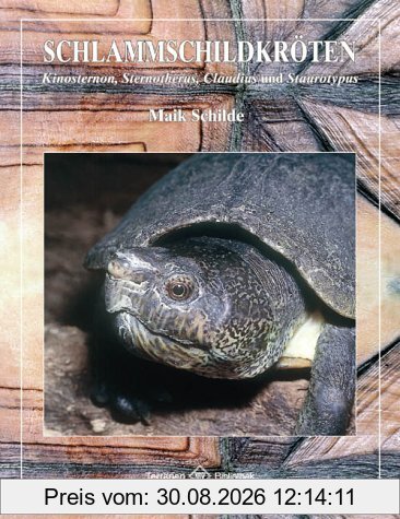 Schlammschildkröten
