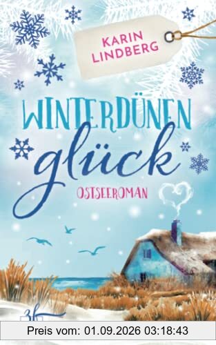 Winterdünenglück: Ostseeroman