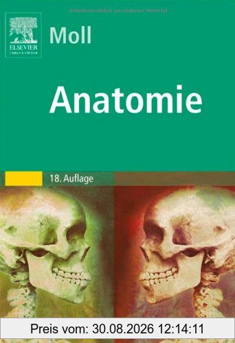 Anatomie: Kurzlehrbuch zum Gegenstandskatalog 1