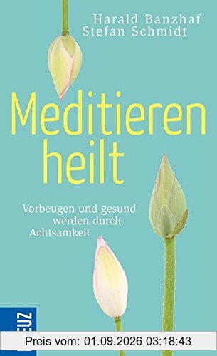 Meditieren heilt: Vorbeugen und gesund werden durch Achtsamkeit