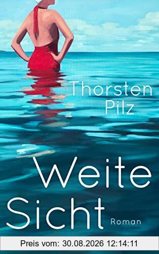 Weite Sicht: Roman