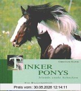 Tinker Ponys: Irlands coole Schecken