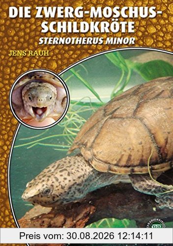 Die Zwerg-Moschusschildkröte: Sternotherus minor (Art für Art)