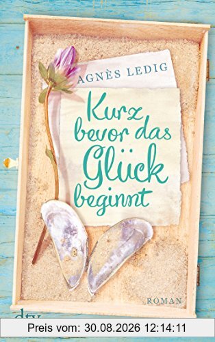 Kurz bevor das Glück beginnt: Roman