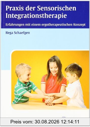 Praxis der Sensorische Integrationstherapie: Erfahrungen mit einem ergotherapeutischen Konzept