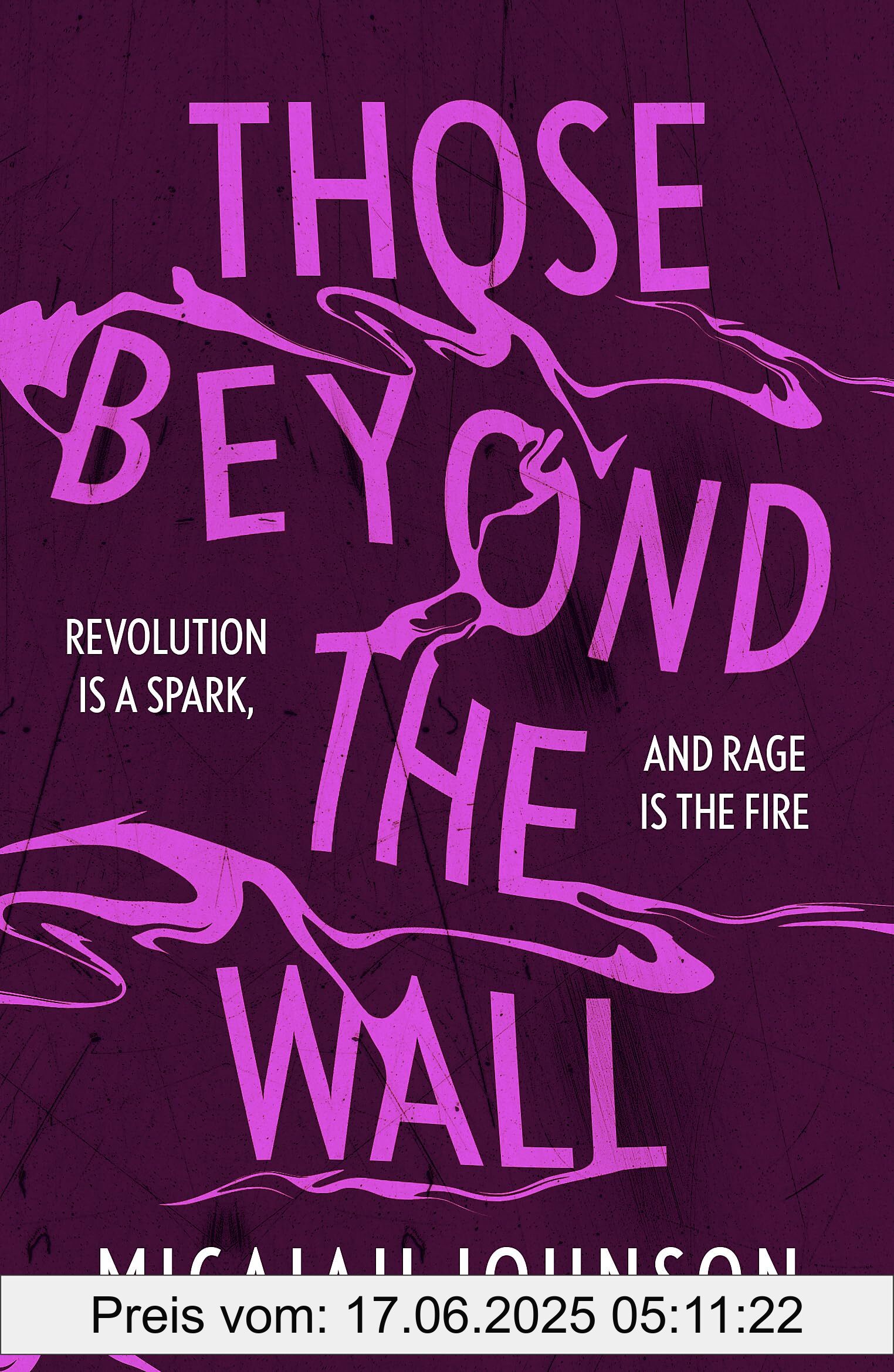 Binding : paperback, Label : Those Beyond the Wall : The gripping new novel from the #1 Sunday Times bestselling author, shortlisted for the 2024 Ursula K. Le Guin Prize for Fiction (Ashtown series), medium : paperback, numberOfPages : 384, publicationDate : 2024-07-25, releaseDate : 2024-07-25, languages : english, ISBN : 1399734687