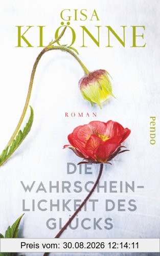 Die Wahrscheinlichkeit des Glücks: Roman