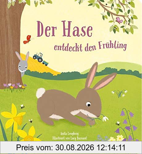 Der Hase entdeckt den Frühling