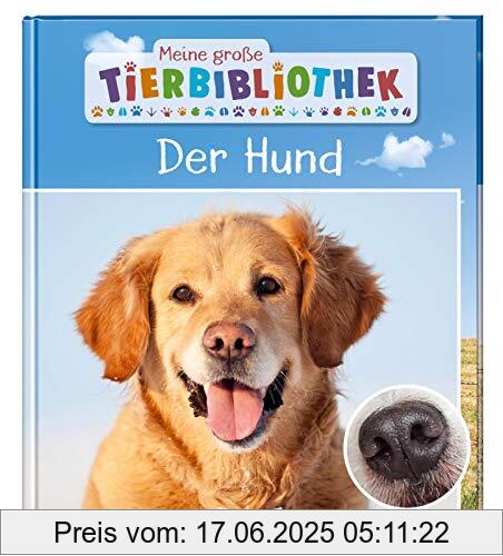 Binding : Gebundene Ausgabe, Edition : 1., Label : Esslinger Verlag, Publisher : Esslinger Verlag, medium : Gebundene Ausgabe, numberOfPages : 32, publicationDate : 2020-03-13, releaseDate : 2020-03-13, authors : Valérie Tracqui, ISBN : 348023626X