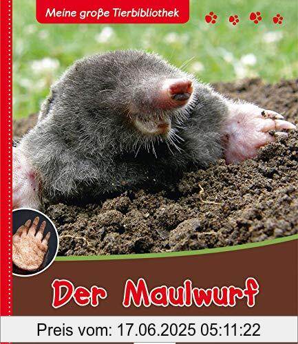 Binding : Gebundene Ausgabe, Edition : 5., Label : Esslinger in der Thienemann-Esslinger Verlag GmbH, Publisher : Esslinger in der Thienemann-Esslinger Verlag GmbH, medium : Gebundene Ausgabe, numberOfPages : 32, publicationDate : 2014-01-13, releaseDate : 2014-01-13, authors : Poschadel, Dr. Jens, ISBN : 348023139X