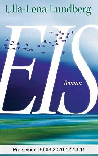 Eis: Roman