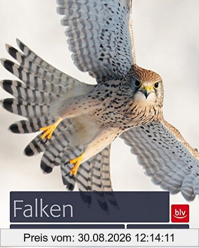 Falken: Edle Jäger - Herrscher der Lüfte