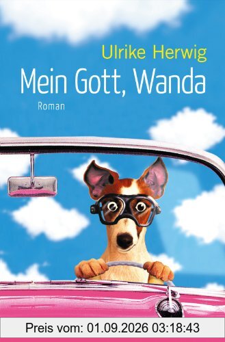 Mein Gott, Wanda: Roman