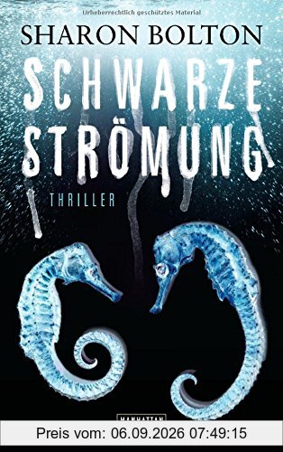 Schwarze Strömung - Lacey Flint 4: Thriller