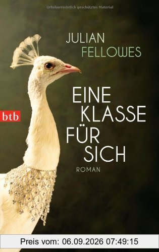 Eine Klasse für sich: Roman