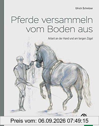 Pferde versammeln vom Boden aus: Arbeit an der Hand und am langen Zügel