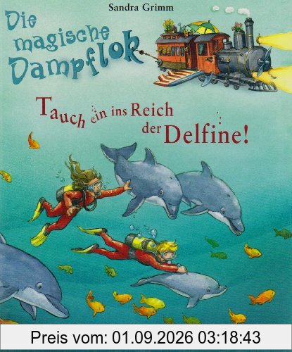 Tauch ein ins Reich der Delfine!