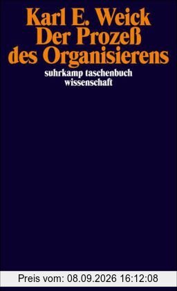 Der Prozeß des Organisierens (suhrkamp taschenbuch wissenschaft)