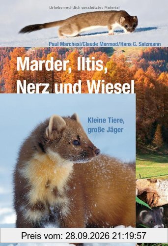 Marder, Iltis, Nerz und Wiesel: Kleine Tiere, große Jäger