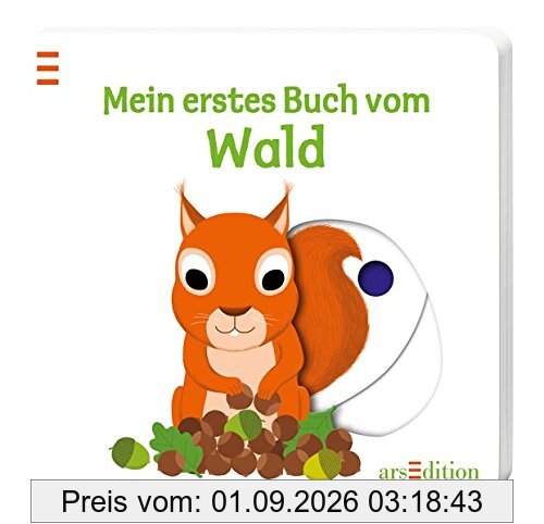Mein erstes Buch vom Wald