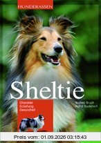 Sheltie: Charakter - Erziehung - Gesundheit