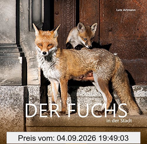 Der Fuchs in der Stadt
