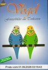 Vögel, Fensterbilder aus Tonkarton
