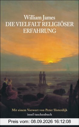Die Vielfalt religiöser Erfahrung: Eine Studie über die menschliche Natur (insel taschenbuch)