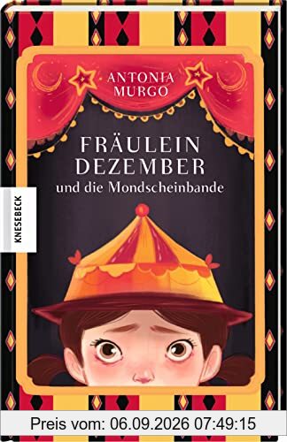 Fräulein Dezember und die Mondscheinbande