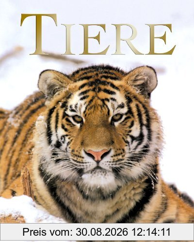 Tiere