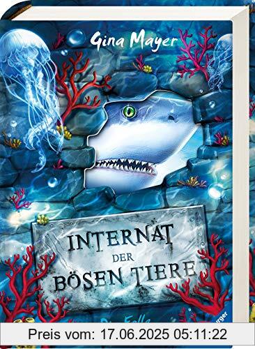 Brand : Ravensburger Verlag, Binding : Gebundene Ausgabe, Edition : 1, Label : Ravensburger Verlag GmbH, Publisher : Ravensburger Verlag GmbH, medium : Gebundene Ausgabe, numberOfPages : 288, publicationDate : 2020-10-29, authors : Gina Mayer, ISBN : 3473408476