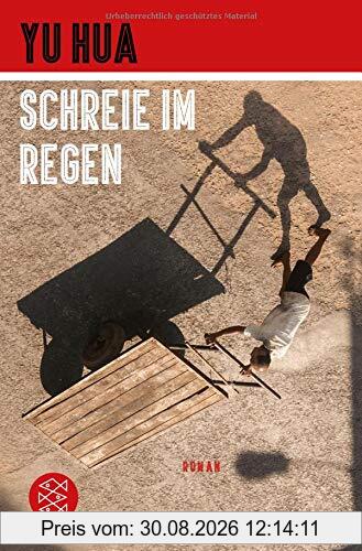 Schreie im Regen: Roman
