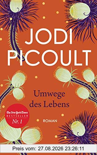 Umwege des Lebens: Roman