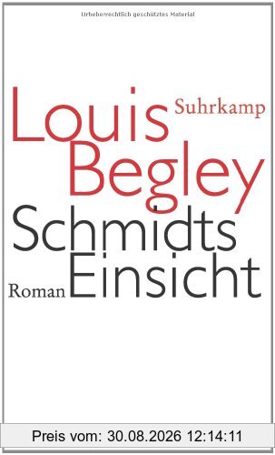 Schmidts Einsicht. Roman