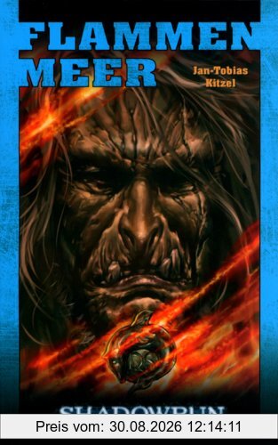 Flammenmeer: Shadowrun-Roman