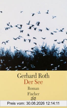 Der See: Roman